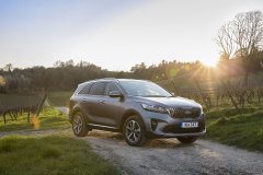 10714-SORENTO106